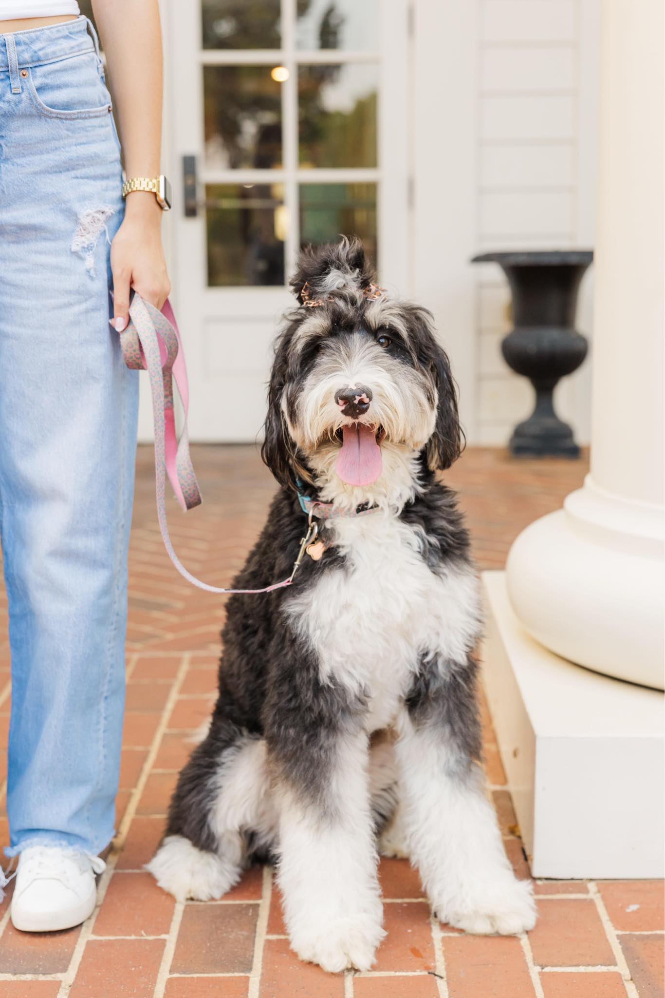 Wedding Pet Service